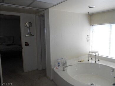 Another Primary Bathroom