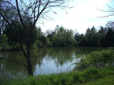Water View Across The Street