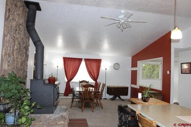 295 NW 10th St, Cedaredge, CO 81413 - photo 3