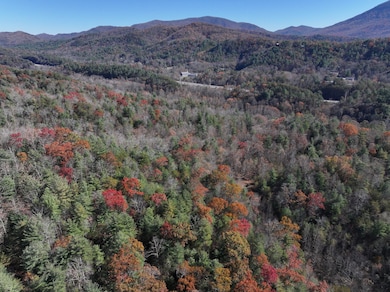 Tbd Cherry Log, Cherry Log, GA 30522 - photo 4