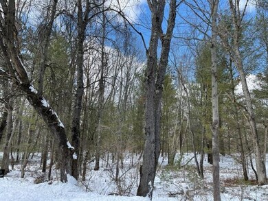 0 10 + - Acres Beaver Rd unit 22007967, Bitely, MI 49309 - photo 3