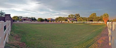 Pecan front grass