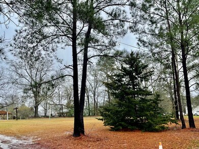 0 S Monroe St, Sylvester, GA 31791 - photo 4