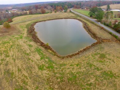 00 County Road 77, Arley, AL 35541 - photo 7