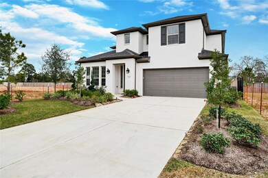 113 Cedar Hammock Trail, Tomball, TX 77375 - photo 3