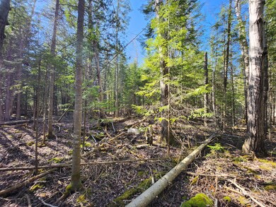 Potential hunting property