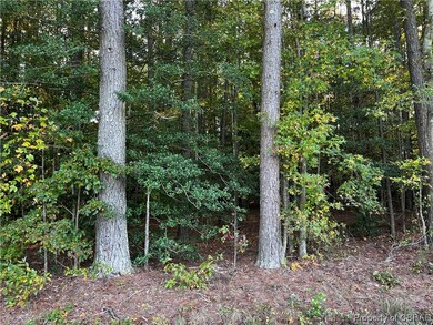 0.56 acre level lot.