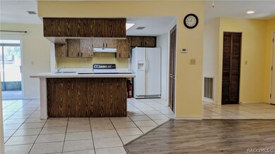 20190 SW 83rd Place, Dunnellon, FL 34431 - photo 4