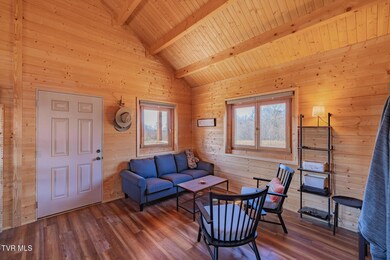 642 Copper Ridge Rd, Eidson, TN 37731 - photo 4