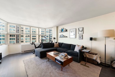 Hawthorne Place unit 2606, Chicago, IL 60657 - photo 4