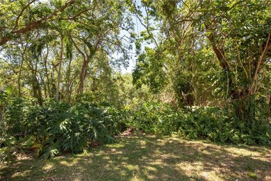 Property Line with access trail into the Ridge