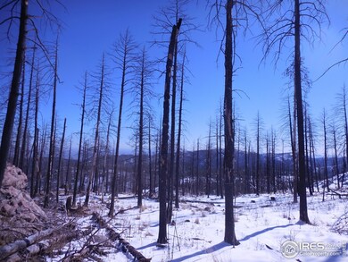 0 Davis Ranch Rd unit 784426, Bellvue, CO 80512 - photo 4