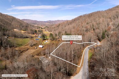 00 Terrys Gap Rd, Fletcher, NC 28732 - photo 7