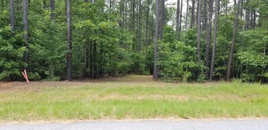 Lot 30 & Savannah Ridge Rd, Lincolnton, GA 30817 - photo 4
