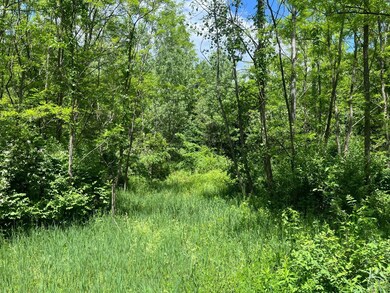 0 Lake Mills Rd unit 153003, Cairo, NY 12413 - photo 3