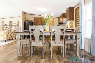 912 Butternut St, Carlsbad, NM 88220 - photo 4