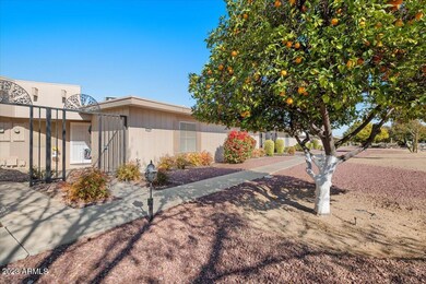 17215 N 107th Ave, Sun City, AZ 85373 - photo 2