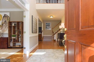 6686 Avignon Blvd, Falls Church, VA 22043 - photo 5