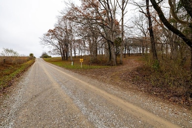 170 Decker Springs Rd, Elizabethtown, IL 62946 - photo 4