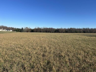 4421 Carpenter Rd, Reading, MI 49274 - photo 6