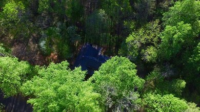 247 Granny Smith Ln, Lake Lure, NC 28746 - photo 2