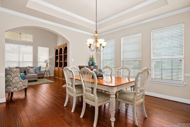 3843 Sweet Olive, San Antonio, TX 78261 - photo 5