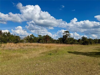 LOT 9 Fort Christmas Rd, Christmas, FL 32709 - photo 7