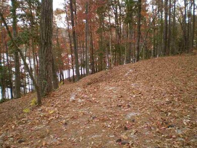 Lot 92 Peninsula Pointe S, West Union, SC 29696 - photo 3