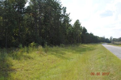 0 Newman Smith Rd unit 418967, Bartow, GA 30434 - photo 4