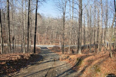 0 Electronics Rd, Clinton Corners, NY 12514 - photo 4