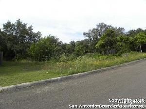 11218 Blue Waters, Helotes, TX 78023 - photo 2