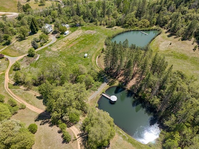 18435 E Evans Creek Rd, Rogue River, OR 97537 - photo 6