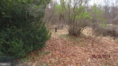 410 Cedar Grove Rd, Winchester, VA 22603 - photo 4