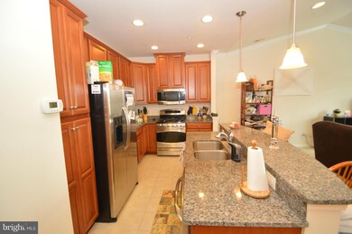 24608 Johnson Oak Terrace, Chantilly, VA 20152 - photo 7