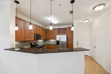 The Valencia unit 440, Houston, TX 77054 - photo 7