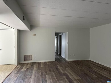 29 Spring Ct, Charlottesville, VA 22901 - photo 6