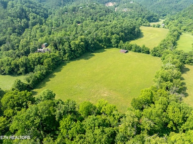 DJI_0010