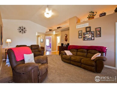 New carpet and paint