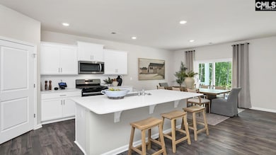 466 Leathertree Ln, Blythewood, SC 29016 - photo 7