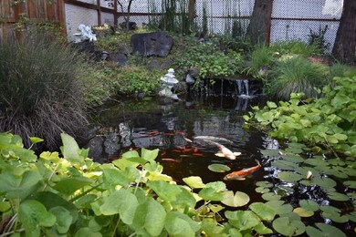 IMG-4264