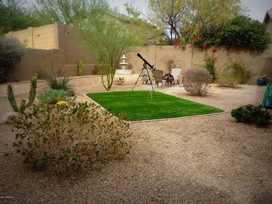 Back Yard c