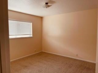 2405 W Walker St, Denison, TX 75020 - photo 5