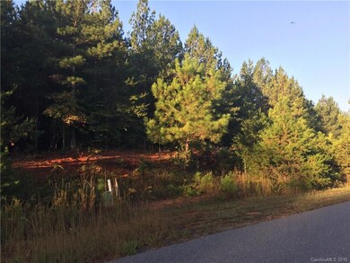 Edge of Lot View/Cul-de-sac