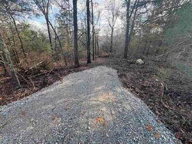 Tract B Arkansas 101, Gamaliel, AR 72537 - photo 5