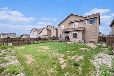 6253 Bearcat Loop, Colorado Springs, CO 80925 - photo 2