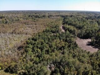 Tbd Broxton Bridge Rd, Bamberg, SC 29003 - photo 7