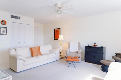 ENTRY AND LIVING AREA WITH STORAGE CLOSET