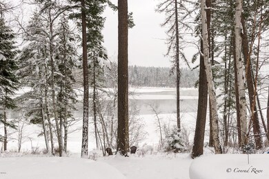 13802 Rainbow Dr, Bigfork, MT 59911 - photo 3