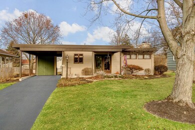 2298_Woodstock-1