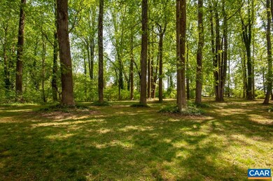 3451 Ivy Rd, Charlottesville, VA 22903 - photo 3
